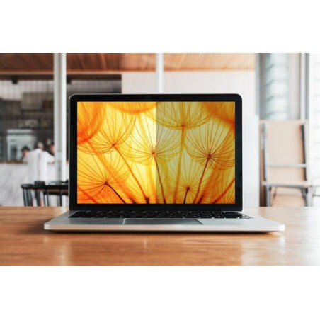 3M BPNHP001 display privacy